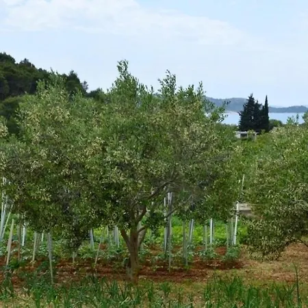 Rossa Appartamento Drage